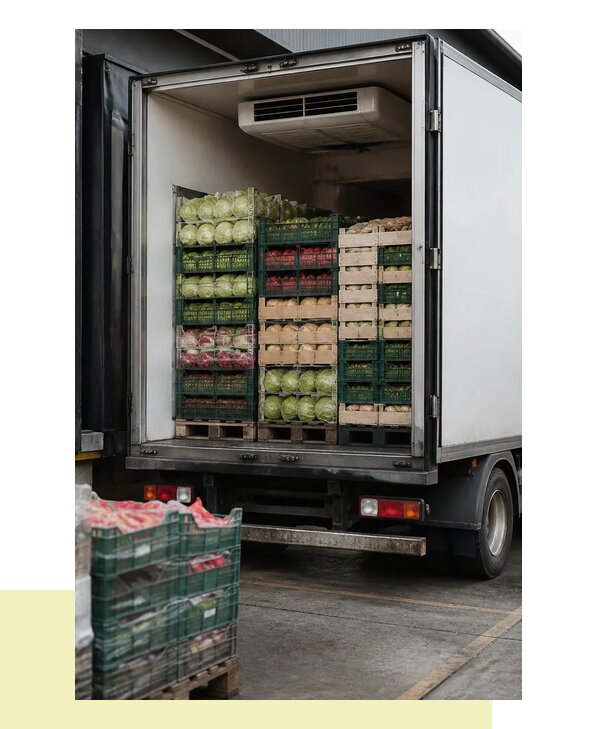 Перевозка плодоовощной продукции оптом напрямую в Магнитогорск