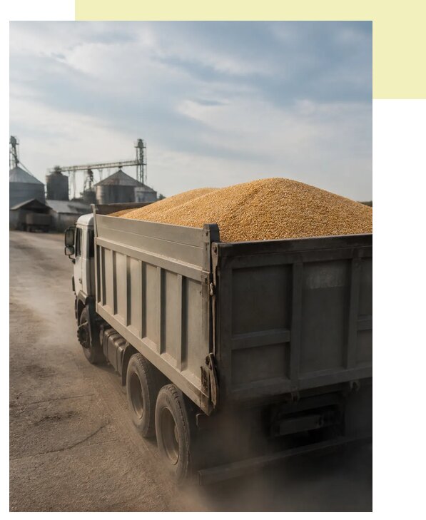 Перевозка сельхозпродукции навалом в Магнитогорск по цене от 3104 р. | Агросервис-Мгн